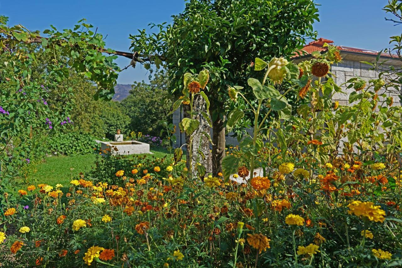 Casa Do Vale ξενώνας Fafe Εξωτερικό φωτογραφία